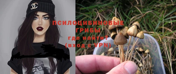 прущая мука Куртамыш
