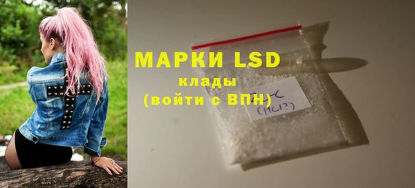 PSILOCYBIN Курчалой