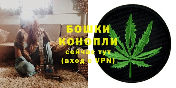 PSILOCYBIN Курчалой