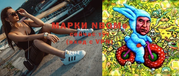 apvp Куровское
