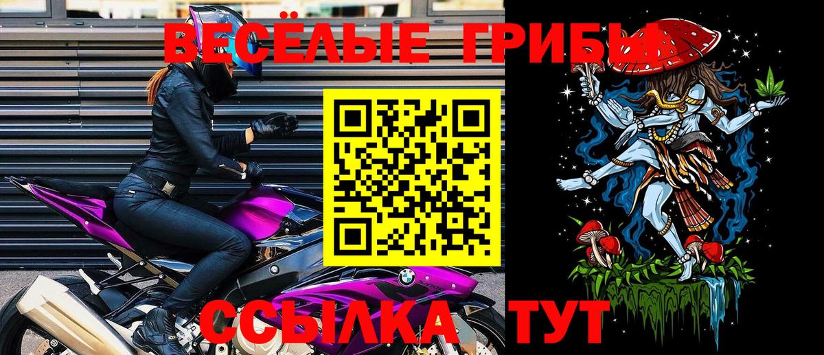 Луховицы  Псилоцибиновые грибы GOLDEN TEACHER  Вход с VPN  Галлюциногенные грибы Psilocybine cubensis 